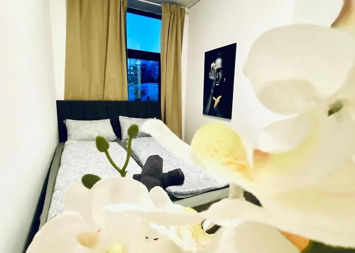 Quiet Well-connected Area, Comfy 3br Apartment